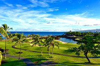 Kohala Coast