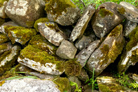 Stones and Moss (Ireland)