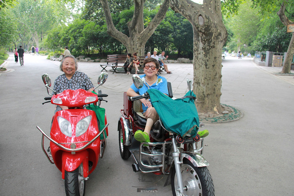 Born to be Wild