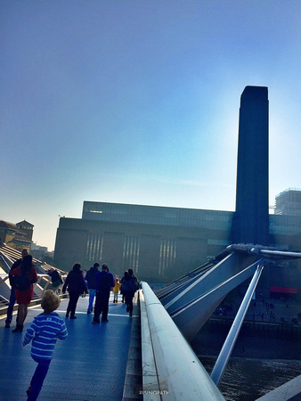 Millennium Run
