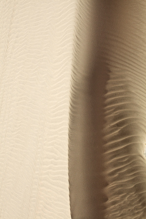 Memory of a Wave