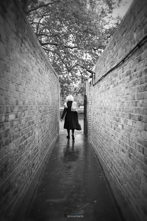 Camilla's Commute (London-Green Park)
