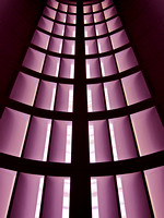 Pinot  (Louvre Ceiling)
