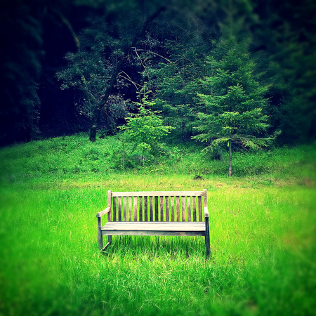 Contemplation