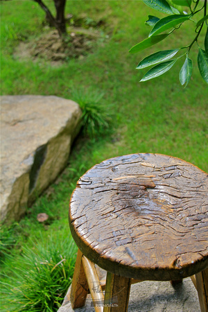 Little Bench