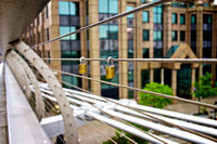 Love on a Wire
