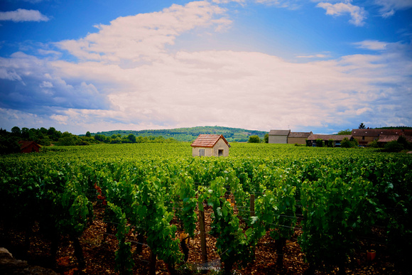 Le Petit Chateau (Beaune, France)