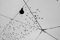 Between the Lines