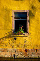 Morning Fleurs (Colmar, France)