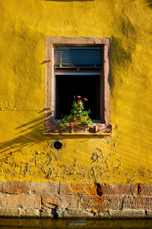 Morning Fleurs (Colmar, France)