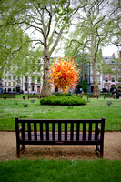 A 'Chihuly Tree' sang in Berkeley Square