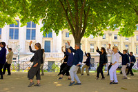 Tai Chi Dauphine
